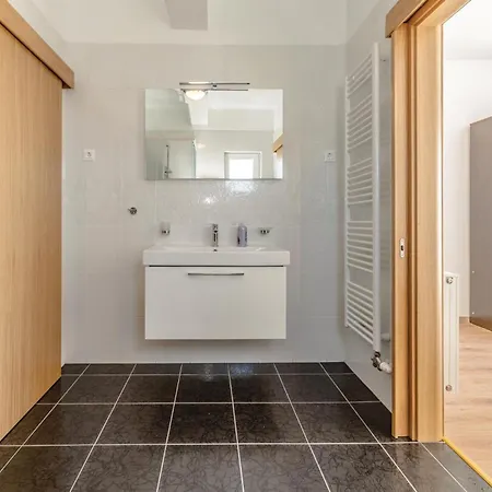 Luxurious In With Sauna Debeljak